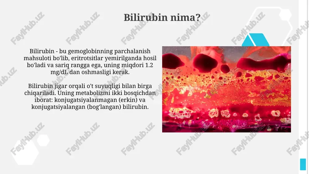 ichakdagi bakteriyalar bilirubin diglukuronidni urobilinogenga aylantiradi, uning 10-20 foizi qon oqimiga so'riladi va keyin siydikda urobilin sifatida chiqariladi, qolgani najas bilan chiqariladi. sterkobilin hosil bo'lishi sterkobilin hosil bo'lishi ichak bakteriyalari ta'sirida bilirubin diglyukuronidning metabolizmi natijasida hosil bo'lgan rangsiz urobilinogendan kelib chiqadi. taxminan 80-90% urobilinogen sterkobilinga aylanadi. sterkobilin najasga jigarrang rang beradi va u oksidlanish jarayonida hosil bo'ladi. ushbu jarayon ichakda sodir bo'lib, urobilinogenni sterkobilinga aylantiradigan bakterial fermentlarni o'z ichiga oladi. bilirubinning qondagi turlari qonda bilurubinning ikki asosiy turi mavjud: konjugatsiyalangan (to'g'ri) bilurubin, jigarda glyukuron kislotasi bilan bog'langan, va konjugatsiyalanmagan (bilvosita) bilurubin, erkin shaklda qonda aylanadi. konjugatsiyalangan bilurubin suvda eriydi va siydik bilan chiqarilishi mumkin, ammo konjugatsiyalanmagan bilurubin suvda erimaydi va albumin bilan birikib, jigarga tashiladi (taxminan 0.2-1.0 mg/dl). bilirubinni o'lchash bilirubinni o'lchashda diazoreaksiyasi usuli qo'llaniladi, bunda bilirubin diazoreagent bilan reaksiyaga kirishib, rangli birikma hosil qiladi, intensivligi bilirubin konsentratsiyasiga proporsional bo'ladi. jami bilirubinni o'lchash uchun van den bergh reaksiyasi ishlatiladi, bunda …