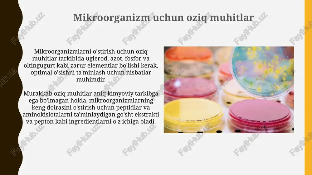 mikroorganizm uchun oziq muhitlar - Page 3