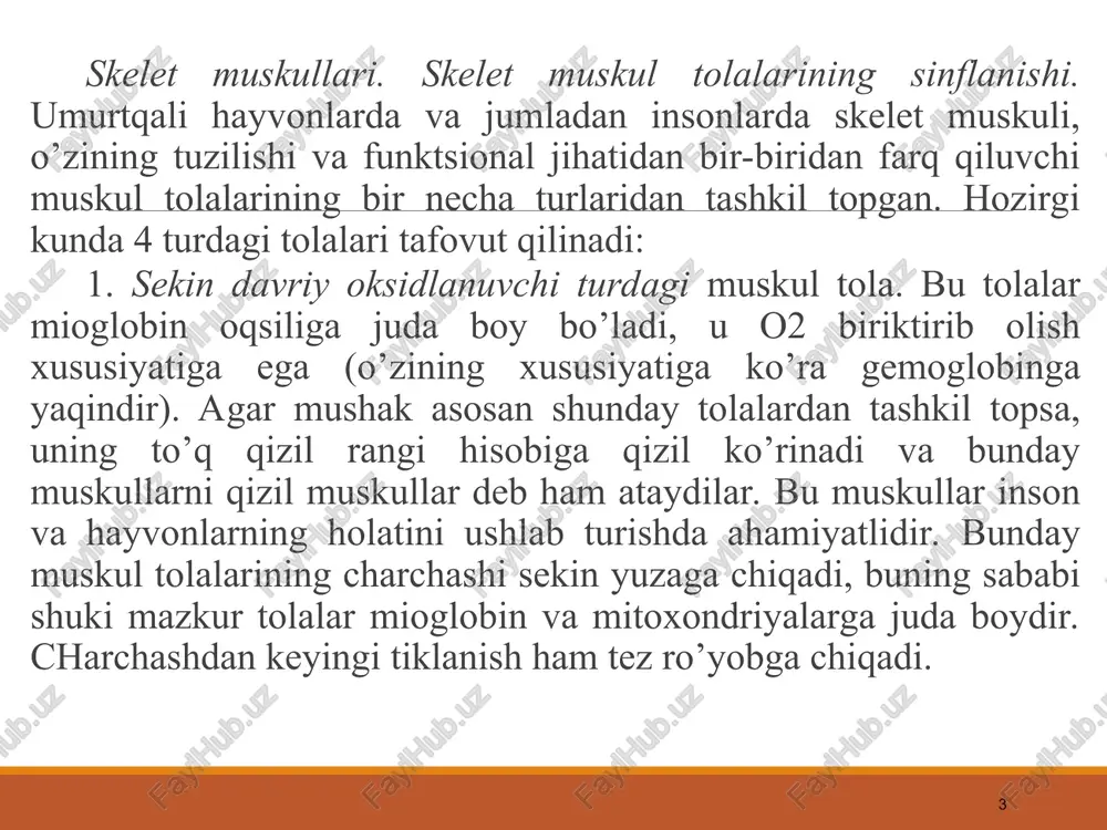ndan sinaps yorig’iga ajralib chiqadigan atsetilxolin mediatori ta’sirlovchi bo’lib hisoblanadi. laboratoriya sharoitida ko’pincha ta’sirlovchi sifatida elektr tokidan foydalaniladi. elektr bilan ta’sirlanganda avvaliga nerv tolalari qo’zg’aladi va nerv oxirlarida atsetilxolin mediatori ajralib chiqadi, bu holda muskulni vositali ta’sirlash kuzatiladi. bundan ko’rinib turibdiki, muskulga nisbatan nerv qo’zg’aluvchandir. 2. o’tkazuvchanlik-muskul tolasi bo’ylab harakat potentsialini o’tkazishidir. 3. qisqaruvchanlik-muskul qo’zg’alganda, uning kaltalanishi yoki taranglanishi tushuniladi. * muskulning qisqarish mexanizmi. harakatlantiruvchi motoneyrondan qo’zg’alish muskul tolasiga atsetilxolin (ax) mediatori yordamida o’tadi, ax ni xolinoretseptorlar bilan muloqoti, oxirgi plastinkada atsetilxolinni sezuvchi kanallarning faollashuvi va 60 mv kattalikdagi oxirgi plastinka potentsialini yuzaga chiqaradi. oxirgi plastinkada hosil bo’lgan potentsial, shu qismga tegib turgan muskul tolalari membranasi uchun ta’sir etuvchi elektr toki manbaiga aylanib qoladi. so’ngra bu potentsial 360 s haroratda 3-5m/s tezlikda tarqaladi. shunday qilib, muskullar qisqarishida harakat potentsialining generatsiyasi birinchi bosqichni tashkil qiladi. ikkinchi bosqichda harakat potentsiali muskul tolalarining ichi tomon tarqaladi. buning natijasida muskulni qisqartiruchi apparati bilan membrana …