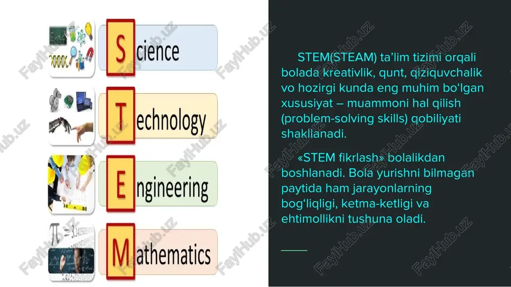 stem va steam ta’limi tizimlari - Page 3
