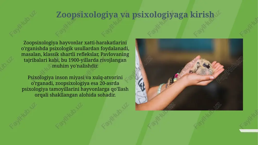 zoopsixologiya va psixologiyaga kirish - Page 3