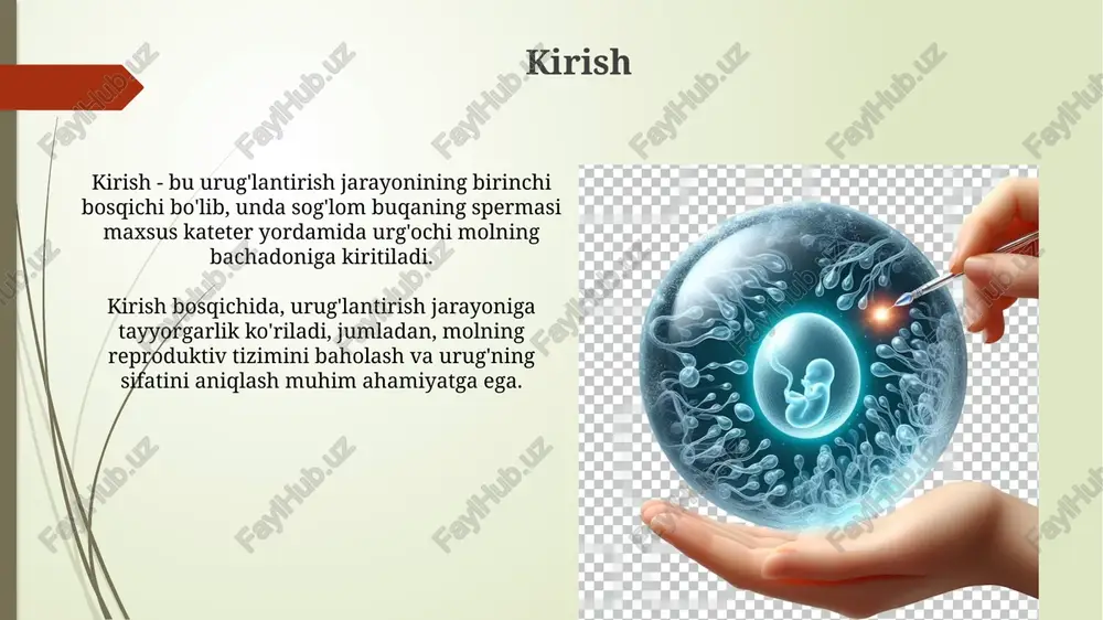 di. muvaffaqiyat darajasini baholash muvaffaqiyat darajasini baholashda urug'lantirishdan keyin 21 kun ichida ultratovush tekshiruvi orqali homiladorlik foizini aniqlash muhimdir. bu aniqlikni oshirishga yordam beradi. qoramolchilikda muvaffaqiyat darajasini baholash uchun birinchi urug'lantirishdan keyin 56-90 kun ichida takroriy urug'lantirishga bo'lgan ehtiyojni hisoblash kerak. iqtisodiy tahlil iqtisodiy tahlil jarayonida resurslar narxi, ishchi kuchi xarajatlari va transport xarajatlari kabi 10 dan ortiq asosiy omillarni hisobga olish, umumiy moliyaviy samaradorlikni aniqlash uchun zarur. sun'iy urug'lantirish usulining iqtisodiy tahlili, roi (investitsiya daromadliligi) ko'rsatkichini baholash orqali, kamida 5 yil davomida foyda keltirish potentsialini o'rganishni talab etadi. xulosa va tavsiyalar mahalliy sharoitda muvaffaqiyatli sun'iy urug'lantirish uchun optimal eritish harorati 37°c atrofida bo'lishi, bu sperma hujayralari harakatini yaxshilaydi. tavsiya etiladi: mahalliy chorvachilik zotlarining genetik materialini saqlash uchun kriokonservatsiya texnologiyasidan foydalanish, nasldorlikni oshirishda yordam beradi. e'tiboringiz uchun rahmat image1.png image2.jpg image3.jpg image4.jpg image5.jpg image6.jpg image7.jpg image8.jpg image9.jpg image10.jpg image11.jpg image12.jpg image13.jpg