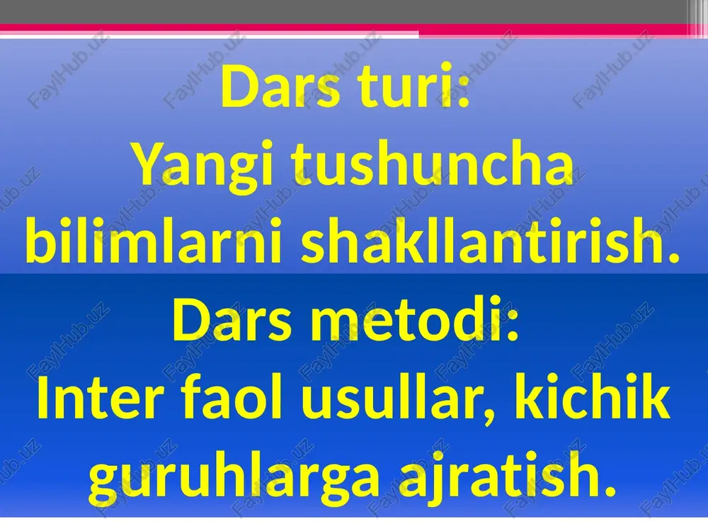 ko’lbaqasining ichki tuzilishi - Page 3