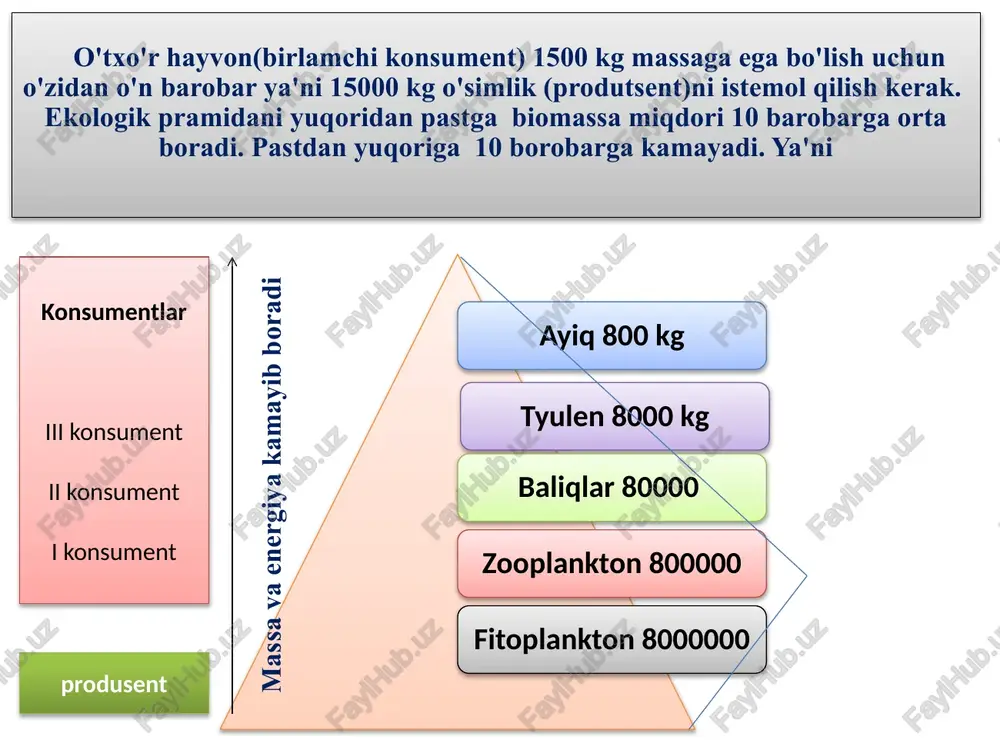 lochin x - 0,1x - 0,01x 0,1x - 0,01x = 720 0,09x = 720 x=8000 i usul: lochin massasi m = 720 : 9 = 80 kg lochinlar – 80 kg quyonlar – 800 kg o`simlik – 8000 kg. suv havzalaridagi oziq zanjirni tipik misolida ekologik piramidagi umumiy biomassani 40 % dagi ogʼirligi 111,1 tonnani tashkil qilsa u holda yirik baliqni 70 % ogʼirligini aniqlang. a) 150 kg b) 194 kg c) 175 kg d) 180 kg fitoplankton -- 1000x ↓↓ zooplankton -- 100x ↓↓ mayda baliq -- 10x ↓↓ yirik baliq ---- x 1) umumiy massani topamiz 40% __________111,1 100% __________ x = 277,75 tonna 2) x+10x+100x+1000x=277,75 1111x=277,75 x = 0,25 tonna 3) yirik baliqni massasi 250 kg 4) 250 • 0,7 = 175 kg. qaldirg'ochning urg'ochisi og'irligi 50 g. uning 2 ta bolasini og'irligi har biri 10 g. 1 oy davomida har biri 45 g ga yetgan. ekologik …
