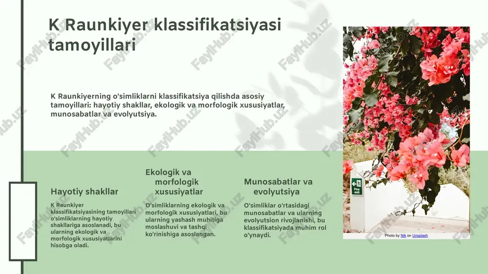 halarida. bu jarayon yordamida o'simliklarning turlarini aniqlash va ularning ekologik o'rnini tushunish osonlashadi. turlarga ajratish biologik tadqiqotlar va ekologik muammolar yechimini ta'minlashda muhim. masalan, o'simliklarning bo'linishi ekologik muhitga moslashuvini, muhofaza ostidagi turlarni aniqlashni va biologik xilma-xillikni saqlashni ta'minlaydi. o'simliklarning turli xil hayotiy shakillari, masalan, ko'payish usullari va yashash joylari, ekosistemadagi muhim rolini o'rganish orqali ekologik muvozanatni tushunamiz. bu bilimlar tabiiy muhitni boshqarishda va barqaror rivojlanishni ta'minlashda yordam beradi. 04.26.24 04.26.24 klassifikatsiyalarning amaliy qo'llanilishi o'simliklarni turlarga ajratish qishloq xo'jaligi va tabiatni muhofaza qilishda muhimdir. masalan, urug'lik ekinlar va o'rmonchilikda. kelajakda sun'iy intellekt va ma'lumot bazalari yordamida avtomatik identifikatsiya va klassifikatsiya amalga oshiriladi. photo by pratik thorat on unsplash 04.26.24 xulosa o'simliklarning hayotiy shakillari ekologik muhitga moslashishda muhimdir. k raunkiyer va g serebryakov klassifikatsiyalari ularni biologik va ekologik jihatdan ajratishga imkon beradi. bu klassifikatsiyalar qishloq xo'jaligi, tabiatni muhofaza qilish va ekologik muammolarni hal etishda keng qo'llaniladi. rivojlanish istiqbollari bor. photo by austin …