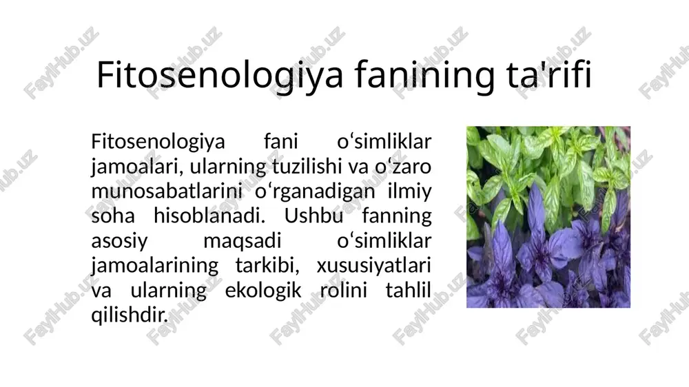 ossiyada geobotanika fanining rivojlanishiga va tadqiqot ishlarining jonlanishiga asos bo‟lib xizmat qildi. 1849 yilda shved botanigi turman flora va o‟simliklar qoplamida har xil flora hamda har xil turdagi o‟simliklarni ko‟rish mumkin deb takidladi. xix asr oxirida o‟simliklar qoplamini o‟rganish tez sur‟atlar bilan rivojlandi. 1866 yilda nemis botanigi l. grizebax birinchi bo‟lib fanga «geobotanika» terminini kiritdi. geobotanikaning fan sifatida shakllanishida rus akademigi f, ruprextning hissasini alohida ta‟kidlash lozim. o‟simliklar qoplami sistematikasiga oid dastlabki ma‟lumotlarni avstriyalik olim karner o‟zining “jizn rasteniy dunayskix stran” nomli asarida yozib, u o‟simliklar qoplamini formatsiyalarga ajratishni fanga kiritdi. tuproqshunos olimlardan v. v. dokuchaev, p. a. kostuchev, botanik geograf olimlardan a. n. krasnov, g. i. tanfilev, s. i. korjinskiy, p. n. krlov, i. k. pachoskiyning xizmatlarini alohida takidlab o‟tish zarur. dokuchaev 1880 yillarda bir gruppa mutaxassis olimlar bilan birga (tuproqshunos, geobotanik, meteriolog) dasht cho‟l mintaqasining tuprog‟ini kompleks o‟rgandi. xix asrning so‟nggi yillarida geobotanik tadqiqotlar keng miqyosda olib borildi. …