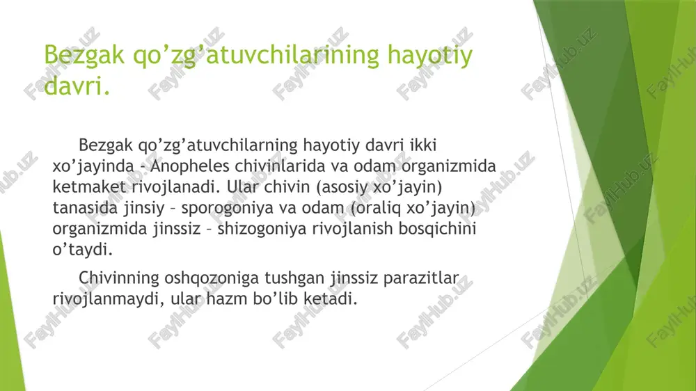 qon tomirlarida cho’kadi. bu holda, tekshirilayotgan qonda faqat yaqinda eritrositlar ichiga kirgan va ularning qobig’ini o’zgartirishga ulgurgan eng yosh parazitlarni (halqalar) ko’rish mumkin bo’ladi. eritrositar shizogoniyada, uning bir yo’nalishi – gametositogoniya jarayoni ham namoyon bo’ladi, bunda jinsiy hujayralar – gametositlar hosil bo’ladi. p. vivax da gametosidlar 2 kunda yetiladi, so’ngra tezda nobud bo’ladi. p. falciparum da esa gametositlar uzoq vaqt – 12 kunda yetiladi. p. falciparum gametositlari yetulguncha parazitlar ichki a’zolarning qon tomirlarida bo’ladi va periferik qon tomirlarida uchramaydi. bu holatga qarab tropik bezgakning qancha vaqt davom etayotganligini aniqlash mumkin. masalan, tekshirilganda yetuk gametositlar aniqlangan bo’lsa, kasallikning davri 12 kundan kam emas. eritrositar shizogoniya davomida gametositlar nobud bo’ladi, lekin to’xtovsiz yangilari hosil bo’laveradi. agar eritrositar shizogoniya jarayoni to’xtasa, p. vivax gametositlari shu zahoti yo’qoladi, p. falciparum gametositlari esa ularningmiqdoriga qarab bir necha kun yoki hafta (6 haftagacha) qonda aylanib yuradi. shunday qilib, uch kunlik va tropik bezgak qo’zg’atuvchilari odam organizmida …