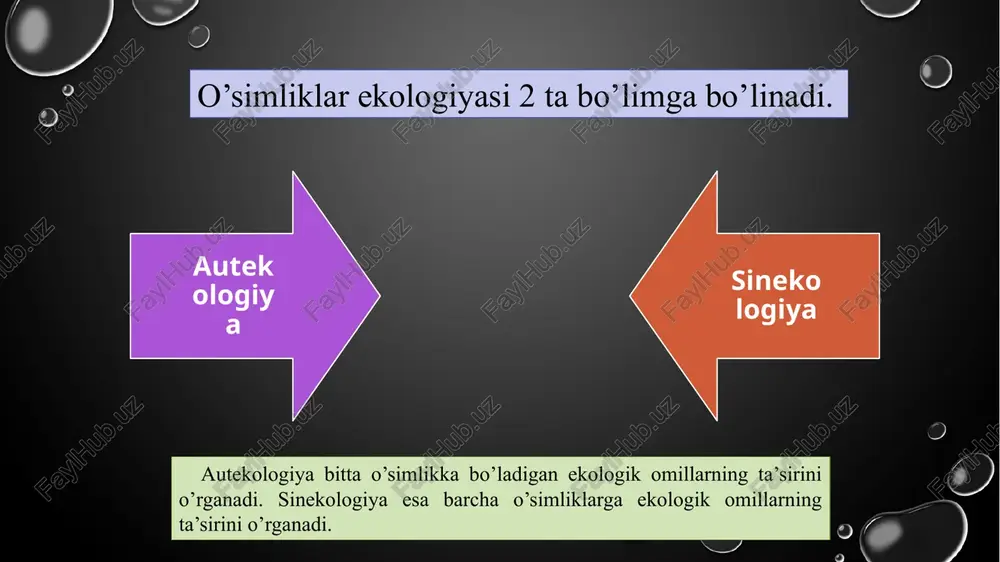 ning munosabati ham turlicha bo’ladi. masalan: urug’ unib chiqishi uchun qorong’i muhit talab qilinsa, maysaning rivojlanishi uchun yorug’lik talab qilinadi. ekologik omillar o’simlikka bevosita va bilvosita ta’sir qiladi. bevosita ta’sir qiluvchi omillarga namlik, yorug’lik, issiqlik, inson va hayvonlar ta’siri misol bo’la oladi. bilvosita ta’sir etuvchi omillarga relef, tog’ jinslari, iqlimni o’zgarishi va tuproq sharoitining o’zgarishi misol bo’la oladi. ba’zan ayrim ekologik omillar bevosita va bilvosita ta’sir ko’rsatishi mumkin. masalan: shamol o’simliklarning novdasini sindirib, bargini mevasini to’kib, bevosita ta’sir ko’rsatsa, tuproqdagi namlikni kamaytirib, qatqaloq hosil qilib bevosita ta’sir ko’rsatadi. do’l o’simlikning yer usti organlariga salbiy ta’sir ko’rsatsa, tuproq namligini oshirib, havo haroratini o’zgartirib bilvosita ta’sir etadi. xar qanday ekologik omil o’simliklarga turlicha ta’sir ko’rsatadi. masalan: sholi suvda yaxshi o’sadi, lekin suv ko’p bo’lsa, g’o’za tez kunda xalok bo’ladi. ko’pchilik o’rmonda o’suvchi o’simliklar soya joyda yaxshi o’sadi, yorug’ joyda tezda xalok bo’ladi. aksincha, cho’l zonasida o’suvchi o’simliklar yorug’ joyda yaxshi rivojlansa, soya …