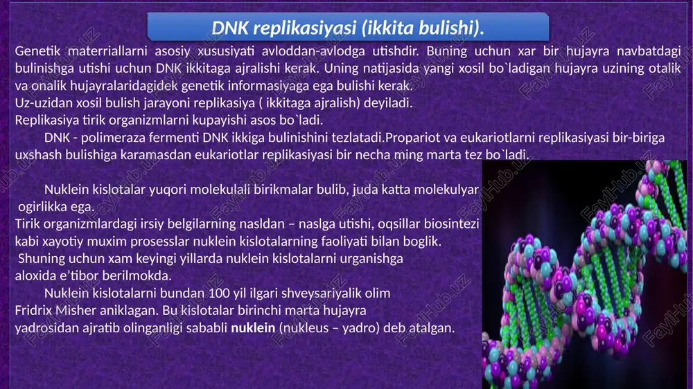 g tuzilishida mujassamlashgan. dnk molekulasi qo’shqavat zan­jirdan tuzilganligi sahabli, uning har bir zanjiri avtomatik ravishda yetishmagan zanjirni tiklash uchun axborot zamini sanaladi. 1957 yili delbruk va stent dnk replikatsiyasi to’g’risida uch xil ilmiy taxminlarni ilgari surdilar. bu ilmiy taxminlar turg’un, yarim turg’un, dispersion farazlar deb ataladi. turg’un ilmiy farazga binoan qo’sh spiralli dnk molekulasi yangi dnk molekulasining sintezi uchun qolip rolini o’ynaydi. binobarin, turg’un ilmiy farazga ko’ra dnk qo’shqavat spi­ralini saqlagan holda yangi dnk molekulasi hosil’ qiladi. oqibatda ikki bo’lingan hujayra biri oldingi dnk molekulasini, ikkinchisi yangi sintezlangan dnk molekulasini oladi. yarim turg’un ilmiy faraz bo’yicha dnk qo’shqavat spi­rali bir-biridan ajraladi va komplementarlik qonuniga ko’ra har ikki spiral o’zining yo’qotgan zanjirini tiklaydi. binoba­rin, sintezlangan ikki dnk molekulasini bir zanjiri eski, ik­kinchisi yangi san aladi (13-rasm). dispersion replikatsiya ilmiy faraziga binoan boshlang’ich dnk uzunligi har xil bo’lgan bo’laklarga ajraladi va ularning har biri yangi qo’shqavatli dnk molekulasini sintezlash uchun qolip vazifasini …