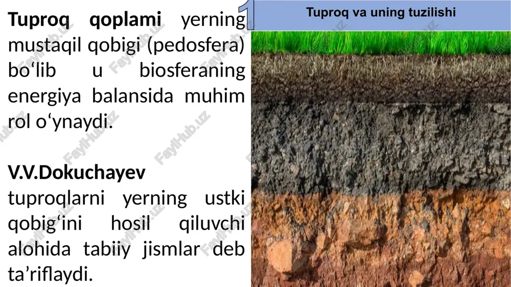 talashtiradi va ildizlarning tuproq zarrachalariga tegib turish imkoniyatini oshiradi. tuproq zarrachalari hajmiga ko’ra 2 tipga bo’linadi: og‘ir tuproqlar yengil tuproq tuproq zarrachalarining «o‘ziga xos, ya’ni ichki yig‘indi yuzasi» oziq moddalarning saqlanib turishida va mikroorganizmlar faoliyatida katta ahamiyatga ega. bu yuza kancha katta bo‘lsa, tuproqning ion almashtirish xususiyati shuncha yuqori bo‘ladi va u shuncha ko‘p suv saqlaydi. bu satx kichrayishi bilan tuproq zarrachalari orasidagi moddalar almashinuvi imkoniyati ham kamayadi. mineral zarrachalar o‘lchamiining maydalashishi tufayli tuproqning suv saqlash xususiyati ortadi, aeratsiyasi esa pasayib ketadi. bunday tuproqlar isishi uchun ko‘p issiqlik kerak bo‘ladi (ular «og‘ir tuproqlar» deyiladi). «yengil tuproq» deganda (mineral zarrachalari ancha yirik bo‘ladi), ancha issiq quruq, lekin tarkibida oziq moddalar kam bo‘ladigan tuproq haqida tushuncha paydo bo‘ladi. mineral zarrachalari ancha yirik bo‘lgan qumli tuproqlarning gumid iqlim sharoitida suv va havo o‘tkazuvchanligi yuqori bo‘ladi, ularning chuqur qatlamlarigacha isiydi, shunga ko‘ra, ular tufayli janubdagi ancha issiqsevar o‘simlik turlari shimoliy zonaga kirib borishi mumkin. …