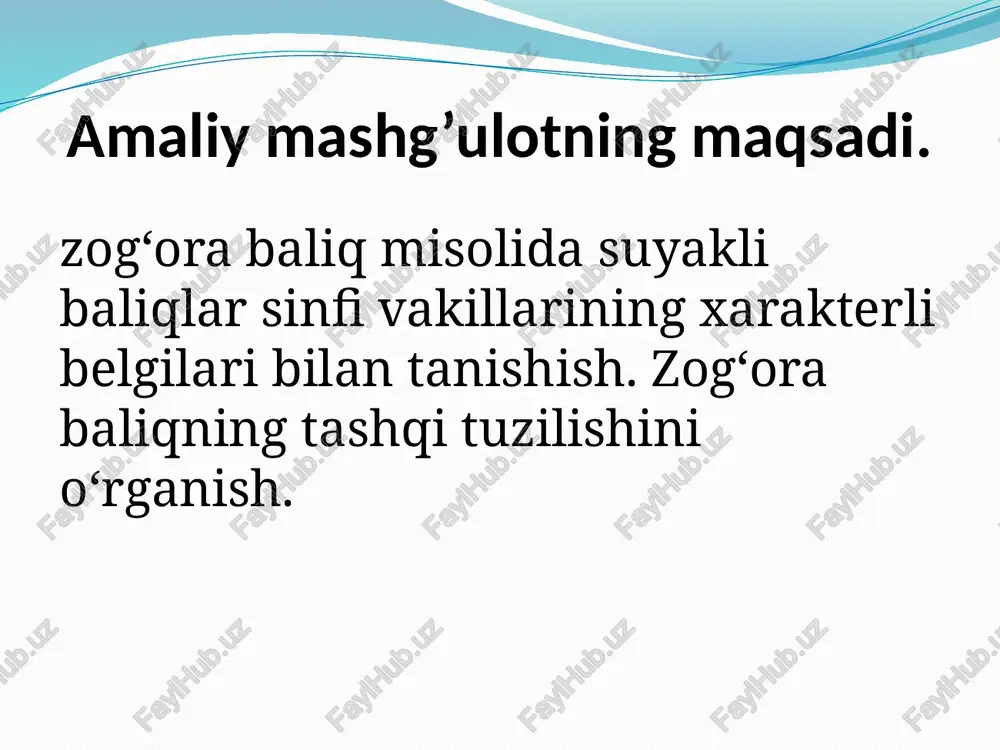 l boʻlgan. teshiklarning oxirgi uchi nerv uchlari bilan yon chizigʻi joylashgan maxsus kanalga ochiladi. yon chizigʻi suv sharoitidagi oʻzgarishlarni qabul qiladi. zogʻora baliqning dum suzgichi boshqa suyakli baliqlarniki singari gomotserkal tipda, ya'ni sirtdan simmetrik, ichki tomondan esa asimmetrikdir. ogʻzi boshining uchki qismida joylashgan boʻlib, suyak jagʻlar bilan oʻralgan. yumaloq koʻzlarida qovoqlar yoʻq. boshining ustki tomonida, koʻzining oldida bir juft burun teshigi bor, ulardan har qaysisi koʻndalang teri koʻprikcha (toʻsiq) bilan oldingi va keyingi qismga boʻlinadi. zogʻora baliqning burun teshiklari ogʻiz boʻshligʻiga ochilmaydi (bu­run teshigiga nina tiqib sinab koʻring). etiboringiz uchun raxmat. image2.png image3.png image4.jpeg image5.png image6.png image7.png /docprops/thumbnail.jpeg