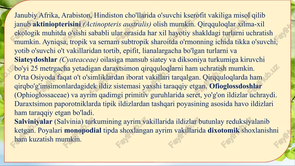 k sporofit davri gametofit davriga nisbatan ustun turadi. evolutsion taraqqiyoti davomida qirqquloqlarning sporangiylari bargning chetki qismidan, pastki qismiga o'tib joylashgan. sporangiylarning bargning pastki qismiga o'rnashishi ularni tashqi muhitning noqulay ta’siridan himoyalanishi uchun qulaylik tug'dirsa, ikkinchidan bargning yuza qismida fotosintez jarayonining normal borishi uchun imkoniyat yaratadi. bargda to'p-to'p bo'lib joylashgan sporangiylarga sorus (grekcha soros — tutam, to'da) deyiladi. sporangiylar hosil bo'lishi jihatidan ikki xil: eng qadimgi qirqquloqlarda ular bargining epidermisidagi bir necha hujayradan hosil bo'lgan. shuning uchun ancha yirik va tashqi tomonidan bir necha qavat hujayralar bilan qoplangan. evolutsiya jihatdan ancha yosh vakillarida esa sporangiylar bargning bitta hujayrasidan hosil bo'lgan. ular nisbatan kichik va bir qavat po'st bilan qoplangan. sporalar qulay sharoitda o'sib, undan gametofit taraqqiy etadi. teng sporali qirqquloqlarning gametofiti ipsimon, lentasimon, chuvalchangsimon, yuraksimon va b. bo'ladi. bularga xos belgilardan yana biri anteridiyning arxegoniyga nisbatan oldinroq taraqqiy etishidir. bu hodisa protoandreya (grekcha protos — birinchi va andreios— erkaklik) deyiladi. uning …