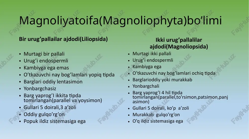 magnoliyatoifa(magnoliophyta) - Page 3