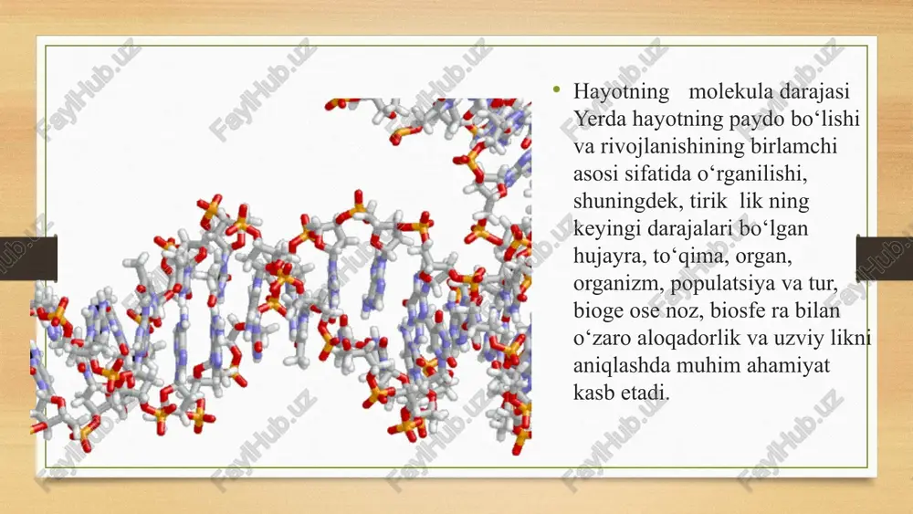 tasida irsiy axborotning uzviyligi va barqarorligi, fizikkimyoviy jarayonlarning tartibli o‘tishini ta’minlashdan iborat. image5.png image6.png image7.png image8.png image9.jpeg image10.jpeg image11.jpeg image12.jpeg image13.jpeg image14.jpeg image15.png image16.jpeg image17.jpeg image3.png image4.png /docprops/thumbnail.jpeg