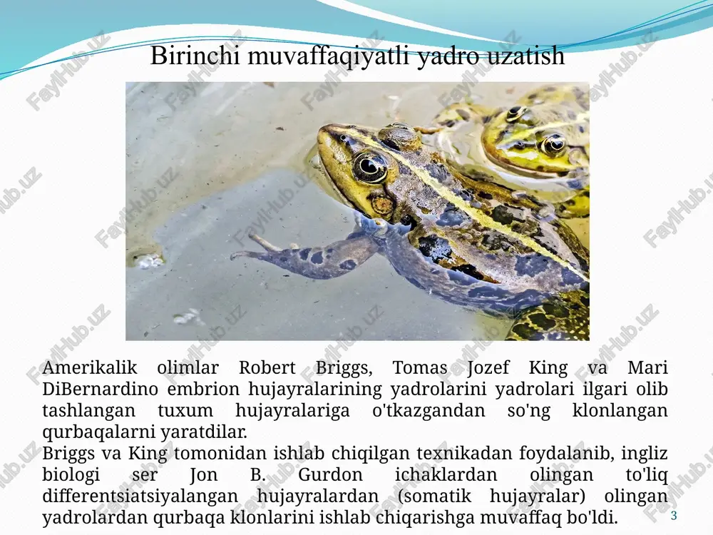bir necha daqiqa davomida u tarixda yo'q bo'lib ketgan yagona hayvon bo'ldi. 2015 yil yevropa ittifoqi qishloq xo'jaligida foydalanish uchun hayvonlarni klonlashni taqiqlaydi braziliya yoki aqsh kabi mamlakatlarda dehqonchilik uchun hayvonlarni klonlashga ruxsat berilgan bo'lsa ham, evropa ittifoqi fermer xo'jaliklari uchun hayvonlarni klonlashni, shuningdek, ushbu hayvonlar, ularning mahsulotlari, nasllarini evropa bozoriga kirishni taqiqlash to'g'risida nizom chiqardi. bu taqiq, asosan, klonlash jarayonining klonlangan hayvonlarga, shuningdek surrogat onalarga ko'rsatadigan salbiy ta'siri, homila tushishi va neonatal nuqsonlarning yuqori chastotasi bilan bog'liq. aquabounty technologies kompaniyasi yovvoyi lososning yarmida pishishi mumkin bo'lgan losos ishlab chiqardi.[114] baliq chinook losos (oncorhynchus tshawytscha) geni kiritilgan atlantika lososidir. bu baliqlarga yilning faqat bir qismida gormon ishlab chiqaradigan yovvoyi turdagi baliqlarga nisbatan yil davomida o'sish gormonlarini ishlab chiqarish imkonini beradi.[115] baliqda, shuningdek, ilon balig'iga o'xshash okean poutidan kiritilgan ikkinchi gen mavjud bo'lib, u gormon uchun "yoqish" tugmasi kabi ishlaydi.[115] poutning qonida antifriz oqsillari ham mavjud bo'lib, ular gm lososlariga muzlash …