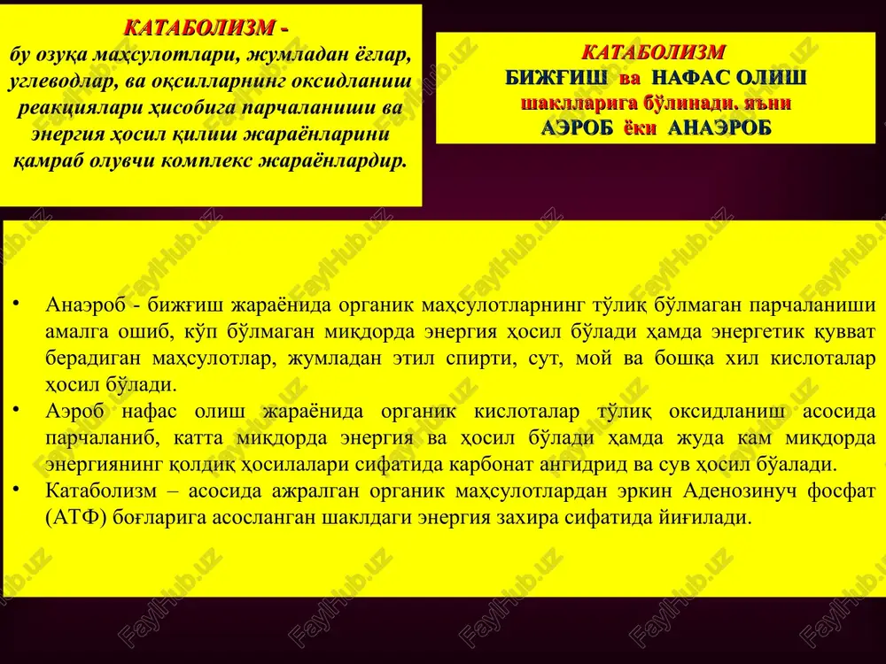 xususiyati keskin o'zgaradi. * mikroorganizmlar oziqlanishiga qarab bir necha guruhlarga bo'linadi. energiya manbaiga qarab barcha organizmlar fototroflar - yorug'lik energiyasini ishlatishga qodir organizmlar va energiyaning kimyoviy manbalariga muhtoj organizmlarga bo'linadi. uglerod manbaiga qarab esa organizmlar - geterotroflarga (asosan uglerod manbasi sifatida uglerod ikki oksidi- co2 ishlatadigan organizmlar) va geterotroflarga (uglerodning organik birikmalariga muhtoj organizmlarga) bo'linadi. * shunday qilib, yuqoridagilarga asoslangan holda butun mikroorganizmlar to'rtta katta guruhga bo'linadilar: fotoavtotroflar - energiya manbai sifatida yorug'lik va uglerod manbai sifatida co2 ni ishlatadilar. bu kategoriyaga fotosintez qiluvchi bakteriyalar kiradilar. fotogeterotroflar - energiya manbai sifatida yorug'lik va oziqa sifatida organik moddalarni ishlatadigan mikroorganizmlar. bularga yashil va to'q qizil rangli bakteriyalar kiradilar. xemoavtotroflar - kimyoviy energiya manbai va uglerod sifatida co2 ni ishlatadilar. xemogeterotroflar - kimyoviy energiya manbai va asosiy uglerod manbai sifatida organik moddalarni iste'mol qiladilar. shuni ham aytib o'tish lozimki, bu kategoriyaga kiruvchi mikroorganizmlar uchun birgina organik modda ham energiya, ham uglerod manbai …