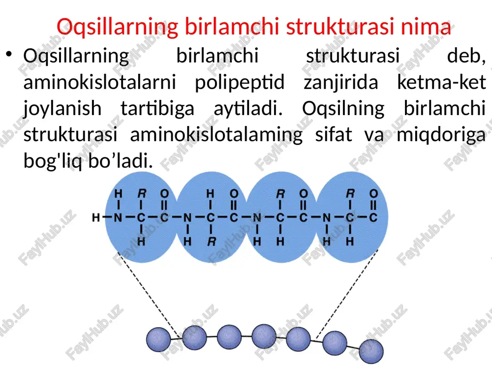 sil qiladi. vodorod bogʻlanishlar asos zanjirning aminoguruhlari va karbonil oʻrtasida hosil boʻladi. ikkilamchi strukturaga misollar a -spiral juda ko’p oqsillar da uchraydi. masalan: a-keratin to’liq aspiral oqsildan iborat; mioglobin, gemoglobin 75%, zardob albumini 50%, a-spiralni tashkil qiladi oqsilning uchlamchi strukturasi polipeptidning uch oʻlchamli umumiy strukturasi uchlamchi struktura deb ataladi. uchlamchi struktura asosan oqsilni tashkil etuvchi aminokislotalarning r guruhlari oʻrtasidagi oʻzaro taʼsirlashuvlarga bogʻliq. sodda qilib aytganda spiral tuzilgan polipeptid zanjirlar har xil kuch ta’sirida fazoda ma’lum shaklni olishga harakat qiladi. polipeptid spiralining fazodagi orientatsiyasi yoki uning taxlanishi uchlamchi struktura deyiladi, ya’ni molekulaning shakli, hajmi haqida ma’lumot beradi. oqsillarning biologik faolligi, ularning uchlamchi strukturasiga bog’liq. uchlamchi strukturani rentgenostruktura tahliliy usul yordamida o’rganiladi. ribonukleaza, lizotsim, mioglobin, ximotripsin va boshqa ko’pgina oqsillaming uchlamchi strukturasi aniqlangan. mioglobin oqsilning toʻrtlamchi strukturasi koʻpgina oqsillar bitta polipeptid zanjiridan va (biz yuqorida toʻxtalib oʻtgan) uchta darajadagi strukturadan iborat boʻladi. shu bilan birga, baʼzi oqsillar subbirliklar sifatida maʼlum boʻlgan, bir …