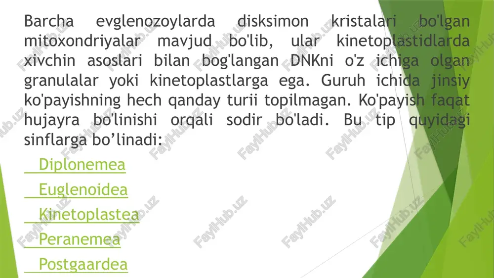parazitlar, shuningdek tuproq va suv muhitida yashovchi bir nechta turlar kiradi. uyqu kasalligini kasalligini keltirib chiqaradigan tripanosomalarni ta'kidlash kerak. xuddi shu guruhga leyshmaniyalar ham kiradi. parazit kinetoplastidlar orasida odam va umurtqali hayvonlarda parazit yashovchi triponosomalar urug’i vakillari katta ahamiyatga ega. u tasmaga o’xshash yassi tanasi 20-70 mkm keladi. parazit hayvonlarga ziyon keltirmaydi. antilopalar kasallik manbasi, se–se pashshasi kasallik tarqatuvchisi hisoblanadi. trypanosoma brusei. qoramollarda uchraydi. t. evansi tuyalar, otlar va eshshaklarda uchraydi.t. equiperdum otlarda kuyikish kasalligini keltirib chiqaradi. bir hayvondan ikkinchisiga jinsiy yo’l bilan bilan o’tadi. leshmaniyalar ham tripanosomalarga o’xshash tuzilgan, lekin odam terisida va ichki organlarida parazitlik qiladi. uzunligi 4-7 mkm bo’lgan parazit .leshmaniya tropika yuz, qo’l va oyoqlar terisida parazitlik qiladi.yomon yara yoki pashshaxo’rdani keltirib chiqaradi, 1,5-3 yildan keyin yaxshi bo’ladi. iskabtopar pashshasi leshmaniya parazitlarni bir hayvondan boshqasiga hasharotlar yuqtiradi. rus parazitologi e.n. pavloviskiy odamlar va hayvonlar o’rtasida bo’g’imoyoqlilar yordamida aylanib yuradigan kasalliklarni tabiiy manbali transmissiv kasalliklar deb atadi. …