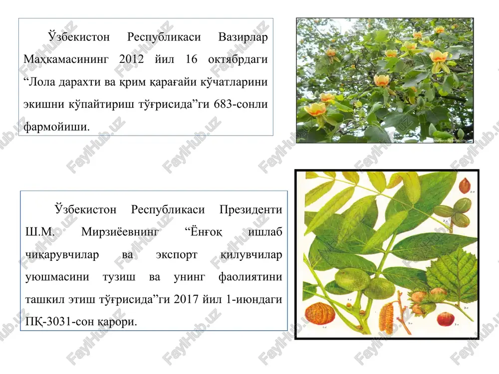 deb ataladi. bir nechta urug'chi barglardan tashkil topgan ginetsey tsenokarp ginetsey deb ataladi. 1.sinkarp ginetsey yoki ko'p chanoqli (uyali) urug'chi (karamdoshlar). 2.parakarp ginetsey mevachi barg yig'indisidan hosil bo'lgan bir xonali (qoraqat, gunafsha). 3. lizokarp ginetsey –sinkarp ginetsey chanoqlari orasidagi pardaning erishi, bir xonali tuguncha. (primula, chinnigul) gipantiy gullash jarayoni o'simliklarning katta guruhiga xos bo'lgan xususiyat bo'lib, u ontogenezda alohida davr sifatida ajratiladi. gullash o'simlikni generetiv bosqichga o'tganidan dalolat beradi. gul miqyosida urug'chi tumshuqchasi va changchi gulning etilishi natijasida changlanish hamda urug'lanish jarayoni amalga oshadi. gullash davrini ilmiy asosda tadqiq qilish xviii asr oxiri xix asr boshlarida boshlangan. evolyutsion ta'limotning mualliflaridan biri bo'lgan ch. darvin ham o'zining qator asarlarida bu masalaga keng to'xtaladi. uning “orxideyalarning hasharotlar yordamida changlanishi” va “o'simliklar olamida chetdan va o'z-o'zidan changlanishning ta'siri” kabi asarlarida chetdan changlanishning biologik o'rni ochib berildi. ch. darvin fasol, boqla, qashqarbeda, sebarga va boshqa o'simliklarda o'tkazgan tajribalari asosida o'simliklar gullarida turli moslanishlar bo'lishini …