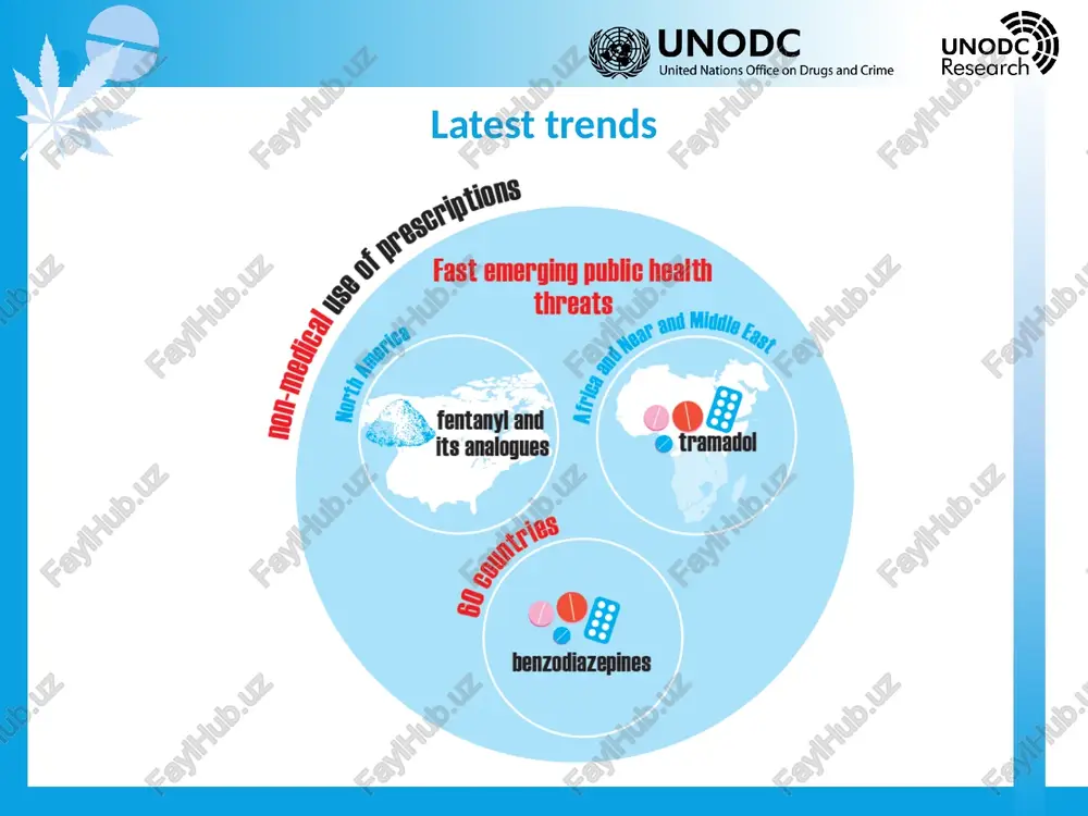 world drug report 2018 - Page 3