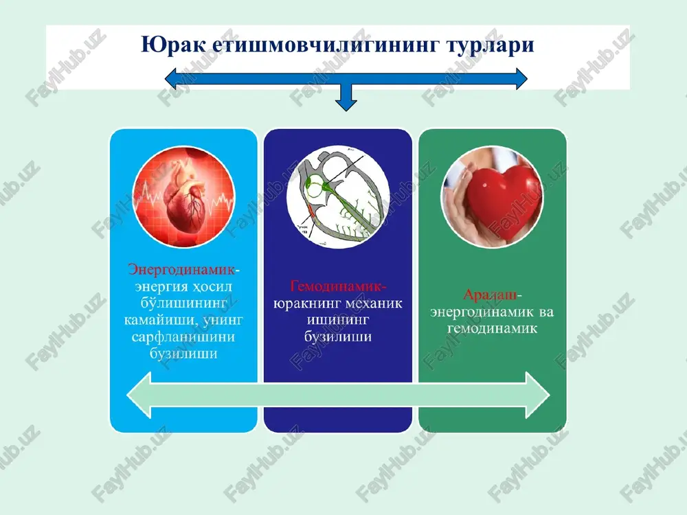 : buyraklarda perfuziya yaxshilanadi diurez ortadi buyrak kanalchalarida na+/cl-/h20 ning reabsorbsiyasini kamaytiradi kanalchalardagi na-k-atf azalarni ham bloklash orqali na+ reabsorbsiyasini kamaytiradi koagulyatsiya: korglikon strofantin 3. mns: sedativ xulosa yurak yerishmovchiligida sistola- kuchsizlangan diastola- qisqargan yurak o`lchami- kattalashgan zarb hajmi- kamaygan minutlik hajm- kamaygan chastotasi- ortgan ab- ba`zida kamaygan shishlar- mavjud diurez- kamaygan jigar/git funksiyasi- buzilgan (venoz dimlanish hisobiga) glikozid ta`sirida kuchayadi, chuqurlashadi uzayadi normallashadi ortadi ortadi kamayadi sekinlashadi kamayadi normallashadi yo`qoladi ortadi normallashadi ishlatilishi oʻtkir vurak yetishmoichiligida: (strafantin korglikon, digoksin / intravenoz / nacl eritmasida eritib) surunkali jurak yetishmouchilipida: kardioskleroz, gipertezniyada miokardda yuklama ortishi, dekompensirlangan yurak nuqsonlarida. [ digitoksin ] yurak yetishmovchiligida bo`lmachalar fibrillyatsiyasi va titrashida (puls nazorati uchun) zaharlanish boshida dozani kamaytirish kuchli zaharlanganda preparatni bekor qilish (akrivlangan ko`mir/ xolestiramin) kaliy preparatlari panangin gipokaliemiyani bartaraf etish (k glikozidlar antogonisti) magniy saqlovchi preparat asparkam gipomagniemiyani bartaraf etish na-k-atf aza uchun sh-gruppa donatorlari: unitiol, asetilsistein, metionin ca+2 ni bog`lovchilar na sitrat …