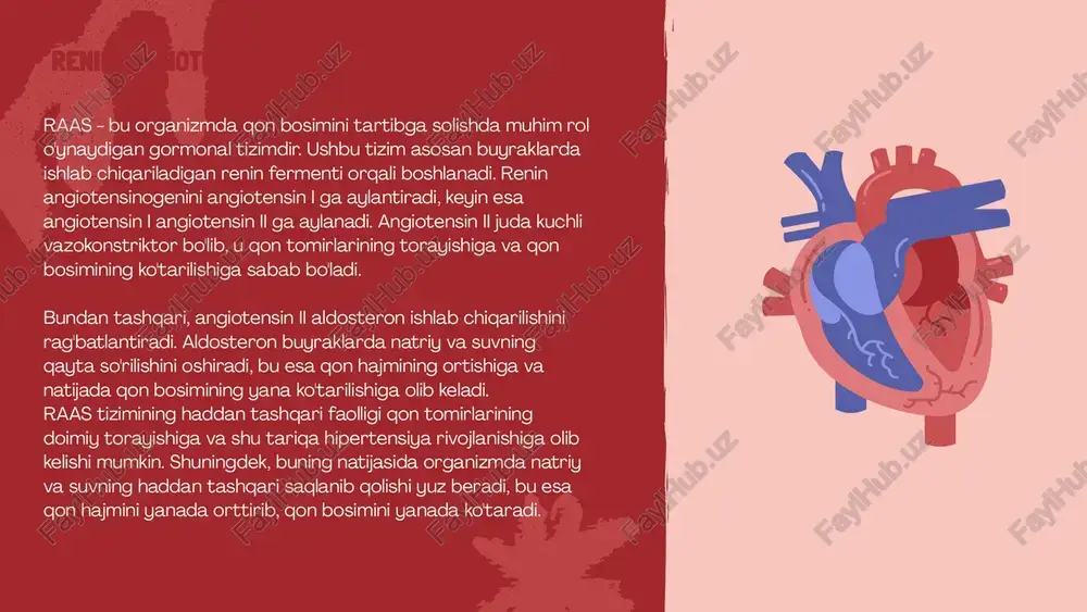 m vazifalarni bajaradi. endoteliyning asosiy vazifalaridan biri nitrik oksid (no) kabi vazodilatatorlar ishlab chiqarishdir. nitrik oksid qon tomirlarining devorlarini bo'shashtirish orqali ularni kengaytiradi, bu esa qon bosimining pasayishiga va qon aylanishining yaxshilanishiga yordam beradi. no shuningdek trombositlarning yopishqoqligini kamaytiradi va yallig'lanishni bostiradi, bu esa qon tomirlarining sog'lom holatini saqlashda muhimdir. endoteliy disfunksiyasi bu endoteliy hujayralarining normal faoliyatini yo'qotishi holatidir. bu, odatda, turli omillar tufayli sodir bo'ladi, masalan, yuqori qon bosimi, yuqori xolesterin darajasi, chekish, diabet va semirish kabi. endoteliyning disfunksiyasi natijasida nitrik oksid ishlab chiqarish kamayadi, bu esa qon tomirlarining torayishiga, qon bosimining oshishiga va qon aylanishining yomonlashishiga olib keladi. shuningdek, bu vaziyat trombositlarning yopishqoqligini oshirishi va yallig'lanishni kuchaytirishi mumkin, bu esa turli xil yurak-qon tomir kasalliklarining rivojlanish xavfini oshiradi. endoteliy disfunksiyasi buyraklar suyuqlik va elektrolitlar muvozanatini tartibga solishda hal qiluvchi rol o'ynaydi. ular organizmdan ortiqcha suv va erimaydigan moddalarni filtrlaydi va ajratib, zarur moddalarni qayta so'rilishini ta'minlaydi. buyraklar, shuningdek, …