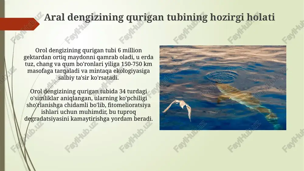 orol dengizining qurigan tubining hozirgi ahvoli - Page 3