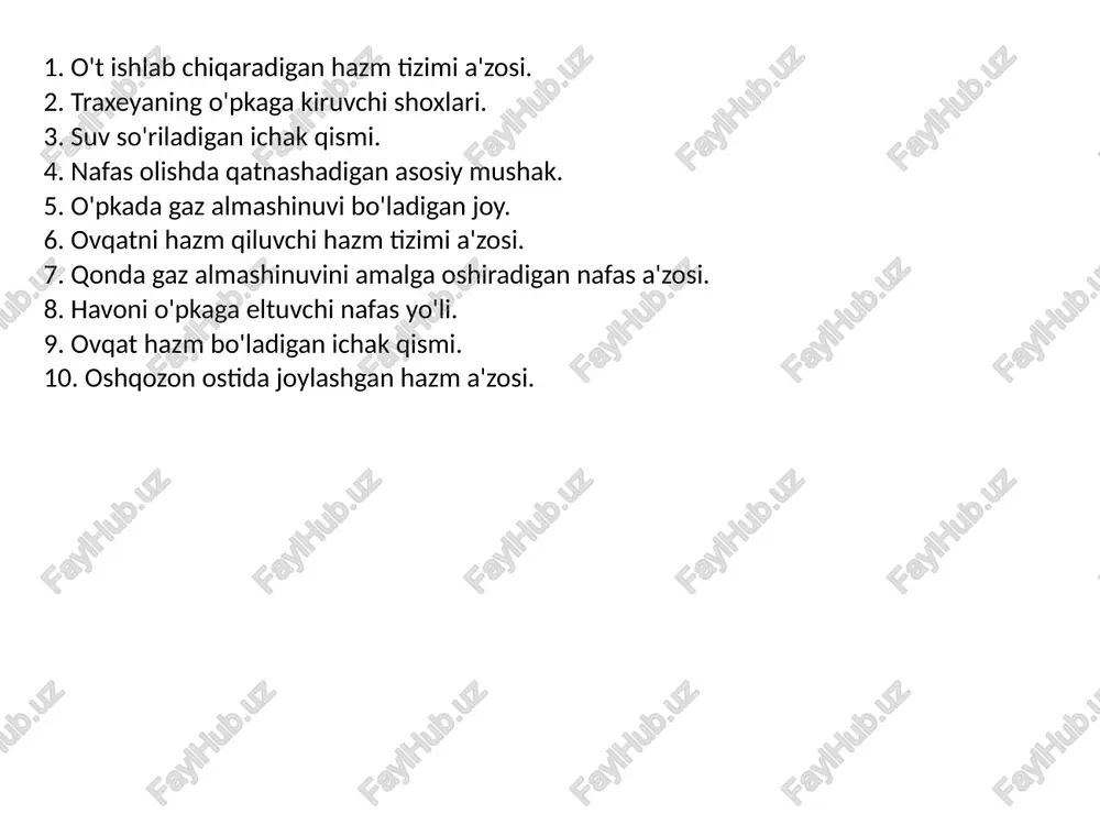 hazim tizimi azolari nafas tizmini azolari - Page 3