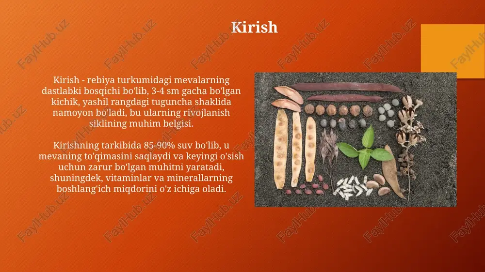 ari o'rtasidagi evolyutsion munosabatlarni 90% aniqlik bilan ko'rsatadi. fenetik klassifikatsiya tizimlari morfologik xususiyatlarga urg'u beradi, masalan, barglarning shakli va rangi, bu esa 75% holatda turlarni aniqlashga yordam beradi. xulosa xulosa qismida rebiya turlarining 5 asosiy tasniflash mezonlari, jumladan, morfologik xususiyatlar, genetik ma'lumotlar va ekologik omillar muhokama qilinishi lozim. rebiya turlarining tasniflashdagi aniqlik darajasini oshirish uchun molekulyar filogenetika usullaridan, xususan, dnk sekvensiyasidan foydalanish samarali hisoblanadi. e'tiboringiz uchun rahmat image4.png image2.png image5.jpg image6.jpg image7.jpg image8.jpg image9.jpg image10.jpg image11.jpg image12.jpg image13.jpg image14.jpg image15.jpg image3.png