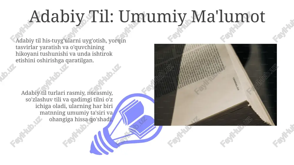 adabiy til: umumiy ma'lumot - Page 3