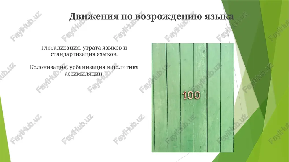 yazikovaya situatsiya 20 veka - Page 3