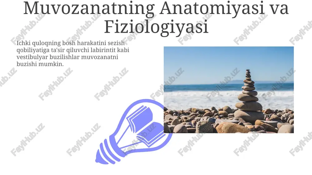 muvozanatning anatomiyasi va fiziologiyasi - Page 3