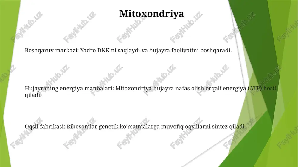 bakteriyalarni va viruslarni hazm qila oladigan kuchli fermentlarni o'z ichiga oladi. e'tiboringiz uchun rahmat @taqdimot_robot