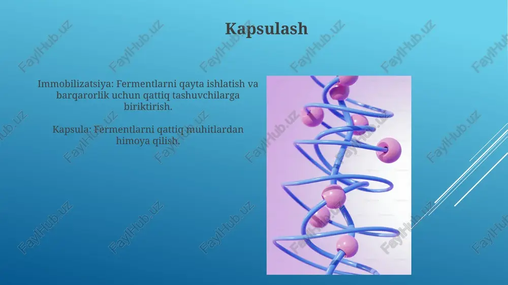 tini cheklaydi. sanoat qo'llanilishi misollari immobilizatsiya: kapsulalash, adsorbsiya, çaplash va kovalent bog'lash. sanoat qo'llanilishi: bioremediatsiya, oziq-ovqatni qayta ishlash, farmatsevtika. o'zaro bog'lash o'zaro bog'lanish: kovalent bog'lar barqarorlik va qayta ishlatish uchun ferment tarmoqlarini yaratadi. fermentlar muhandisligi: yo'naltirilgan evolyutsiya yoki ratsional dizayn orqali fermentlarni ma'lum bir dasturlar uchun optimallashtiradi. fermentlarni immobilizatsiyalashning afzalliklari. fermentlar faoliyati va tanlanishini yaxshilash. fermentlarning barqarorligi va qayta ishlatilishini oshirish. fermentlar nima? fermentlar tirik organizmlarda kimyoviy reaksiyalarni tezlashtiruvchi biologik katalizatorlardir. fermentlar muhandisligi biotexnologiya uchun ularning xususiyatlarini yaxshilash maqsadida fermentlarni o'zgartirishni o'z ichiga oladi. e'tiboringiz uchun rahmat @taqdimot_robot image1.jpg image2.jpg image3.jpg image4.jpg image5.jpg image6.jpg image7.jpg image8.jpg image9.jpg image10.jpg image11.jpg image12.jpg image13.jpg image14.jpg image15.jpg image16.jpg image17.jpg