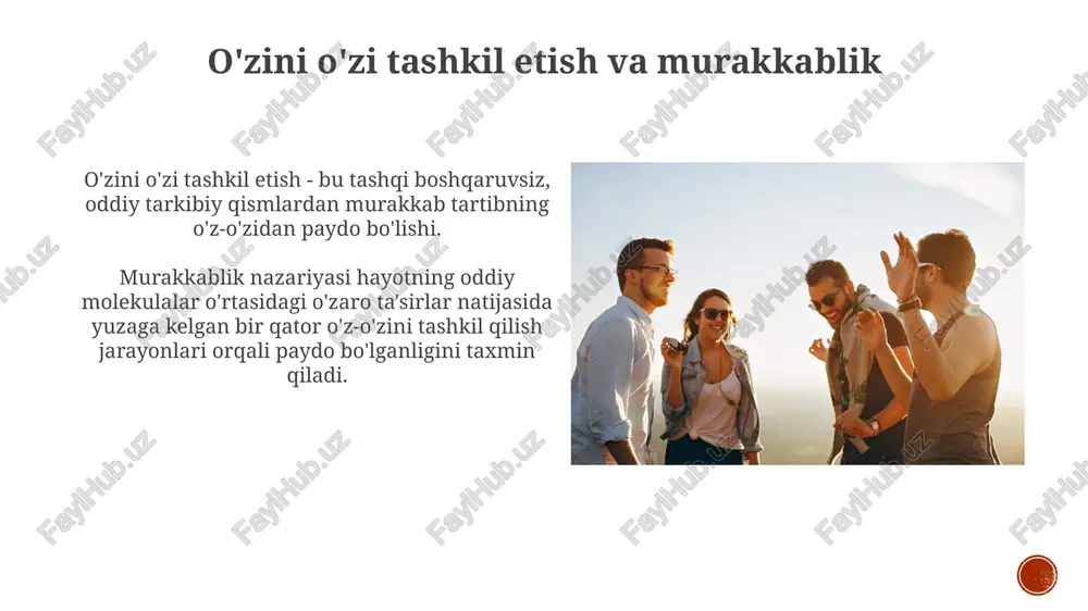 o'zini o'zi tashkil etish va murakkablik - Page 3