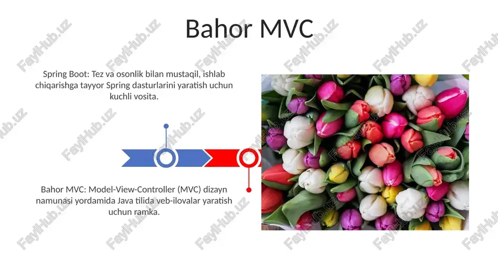 bahor mvc - Page 3