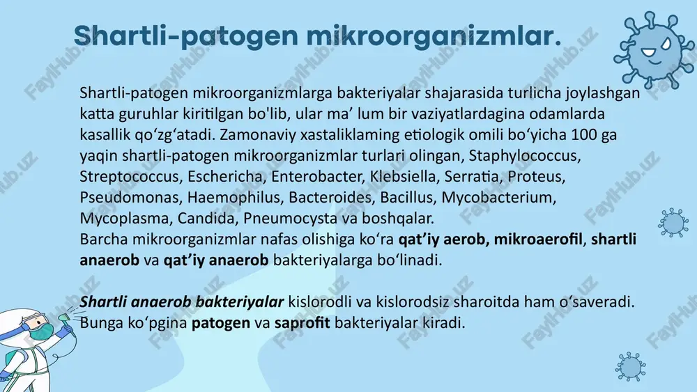 urli kasalliklar kelib chiqadi. og'iz bo‘shlig‘i mikroflorasi streptokokk (s.salivarum, s.mutans, s.faecalis, s.mitis) va peptokokklar (p.asaccharalyticum, p.lanocolatus)dan ibora-t. s.mutans ko‘pincha tish bilan milk orasidagi bo‘shliqda to'planib, tish pulpasini yallig'lantiradi. s .faecalis milk egatchalarida, ko'pincha kasal tish ildizidagi bo‘shliqda (kanalda) bo‘ladi. peptostreptokokklar ham og‘iz b o ‘shlig‘ining normal mikroflorasi hisoblanib, milk egatchalarida juda ko‘p. shuning uchun ular og‘iz bo'shlig'ining turli kasalliklarida uchraydi. qatiqbakteriyalari doimo tishning chirigan qismi (kovagi)da uchraydi, chunki bu bakteriyalar, tishning emal qismini erituvchi kislota hosil qilib, tish chirishida muhim rol o‘ynaydi. veillonella haqida tushuncha. veillonella urug'iga mansub bakteriyalar shakl jihatidan neysseriya urug‘i bakteriyalariga o'xshaydi va aktinomitsetlar bilan birgalikda tish qatlam ini hosil qiladi. og‘iz bo‘shlig‘idagi aktinomitsetlar (a.naesluuqi) ko‘pincha chirigan tish va tish toshlarida bo‘ladi. aktinomitsetlar tish to‘qimalarini parchalashi natijasida tishning pardasi va toshchalarining asosiy qismi, ya’ni o ‘zagi tashkil topadi. a.viscosus tishning asosiy to'qim asi va suyak to'qimasi (dentin, sement)ga kirib, tish ildizining chirishi (kariyes)ga olib keladi, natijada periodontit …