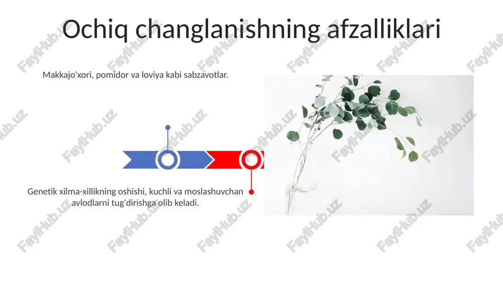 ochiq (xazmogam) holdagi changlanuvchi òsimlik turlari - Page 3