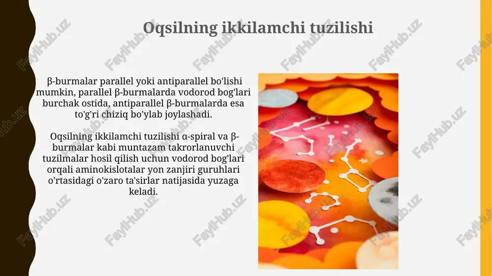 ing oqsillarga ta'siri hofmeister qatori bilan tavsiflanadi, bu qatorda anionlarning oqsilning suv bilan ta'sirini o'zgartirish qobiliyati ko'rsatilgan. masalan, sulfat anionlari (so₄²⁻) kuchli "tuzlash" effektiga ega. yuqori konsentratsiyali tuz eritmalari (masalan, 1m nacl) oqsillarni "tuzlash" orqali cho'ktirishga olib kelishi mumkin, bu jarayon oqsil molekulalarining gidratatsiya qobiliyatini pasaytiradi. oqsillarni elektroforez usuli bilan o'rganish sds-page elektroforezi oqsillarni denaturasiyalab, zaryadlari bir xil bo'lishiga erishiladi va molekulyar massasiga ko'ra ajratish imkonini beradi, bu usulda 10-20 kda oralig'idagi oqsillar aniq ajratiladi. izoelektrik fokusirlash (ief) elektroforezi oqsillarni izoelektrik nuqtasiga qarab ajratadi va ph gradientida harakatlanish tezligi orqali ularning izoelektrik nuqtasini aniqlash imkonini beradi. oqsillar va suv o'zaro ta'siri gidratatsiya qobiliyati oqsilning gidrofobik va gidrofil aminokislotalar nisbatiga bog'liq bo'lib, taxminan 0,3 g suv 1 g oqsilga to'g'ri keladi. oqsillar suv molekulalari bilan vodorod bog'lari orqali o'zaro ta'sirlashadi, bu oqsilning uch o'lchovli tuzilishi va funksiyasini saqlashda muhim rol o'ynaydi, masalan, 4 darajali tuzilishni hosil qiladi. peptid bog'lanishining xususiyatlari peptid …