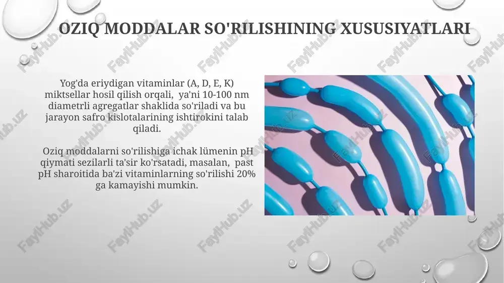 oshqozon ichak traktida sõrilishning biofizikaviy mexanizmi - Page 3
