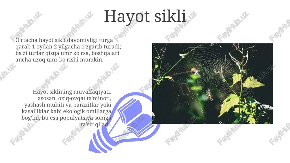 xumlarning yirtqichlardan va ob-havo sharoitlaridan himoyalanishini ta'minlaydi. himoya mexanizmlari 01 02 ba'zi o'rgimchaklar 8 ta ko'zga ega bo'lib, ularning har biri turli xil funksiyalarni, jumladan, harakatni aniqlash va ovni kuzatishni bajaradi, bu ularning himoya mexanizmlarining bir qismidir. sales 1st qtr 2nd qtr 100 0 sales 1st qtr 2nd qtr 100 0 muhimligi o'rgimchak iplari turli xil biomateriallar ishlab chiqarishda qo'llanilishi mumkin, ularning yuqori mustahkamligi va elastikligi tufayli 1000 dan ortiq qo'llanilishi mavjud. ba'zi o'rgimchak turlari zahari tibbiyotda og'riq qoldiruvchi va boshqa dori vositalarini ishlab chiqarishda ishlatiladi, ayrim antibakterial xususiyatlarga ega 20 dan ortiq birikmalar aniqlangan. zahar xususiyatlari o'rgimchak ipakini hosil qiluvchi bezlar 6 ta turga bo'linadi va har bir turi o'ziga xos kimyoviy tarkibga ega bo'lib, turli xil funksiyalarni bajaradi, masalan, to'r qurish, tuxum qo'riqlash. o'rgimchaklarning ko'pchiligida 8 ta ko'z bo'ladi, ammo ularning ko'rish qobiliyati turlicha bo'lib, ba'zilari faqat yorug'lik va soyani farqlay oladi. to'r to'qish san'ati o'rgimchaklarning to'r to'qish …