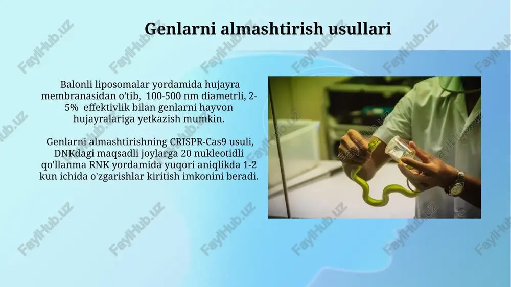 ransgenik o'simliklarning hosildorligini 25% ga oshirish va zararkunandalarga chidamliligini kuchaytirish orqali qishloq xo'jaligining iqtisodiy samaradorligini yaxshilashga yordam beradi. transgenik o'simliklar yaratishda agrobacterium tumefaciens bakteriyalarining ti plazmididan foydalanish, o'simlik genomiga 90% gacha samaradorlik bilan begona genlarni kiritish imkonini beradi. kelajak istiqbollari crispr-cas9 kabi yangi gen tahrirlash texnologiyalari yordamida kasalliklarga chidamli, yuqori hosildorlikka ega 100 dan ortiq yangi o'simlik navlarini yaratish mumkin. hayvonlarda genetik modifikatsiyalar orqali sut tarkibidagi foydali moddalar miqdorini 15% ga oshirish va dori vositalarini ishlab chiqarish uchun ishlatiladigan hayvonlar sonini kamaytirish mumkin. crispr-cas9 texnologiyasi crispr-cas9 tizimi nisbatan arzon va sodda bo'lib, turli xil organizmlarga nisbatan qo'llanilishi mumkin, shu bilan birga 50 dan ortiq turdagi genetik modifikatsiyalarni amalga oshirishga yordam beradi. ushbu texnologiya yordamida o'simlik va hayvonlarda 1% dan kam xatolik bilan genlarni o'chirish, qo'shish yoki almashtirish mumkin, bu esa genetik muhandislikning samaradorligini oshiradi. ekologik ta'sir genetik modifikatsiyalangan ekinlarning 10-20% ga yaqin hosildorlik oshishi atrof-muhitga salbiy ta'sir ko'rsatishi mumkin, chunki …