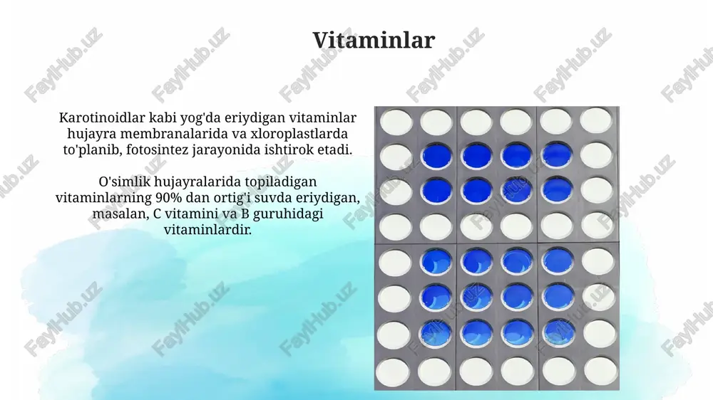 asida minglab turli xil fermentlar mavjud bo'lib, ularning har biri aniq bir reaksiyani tezlashtiradi,masalan, fotosintez yoki nafas olish jarayonlarida ishtirok etadi. fermentlar o'simlik hujayrasining umumiy massasining taxminan 10-15 foizini tashkil qiladi va metabolik reaksiyalarni katalizlaydigan murakkab oqsillardir. sitoplazma tarkibi sitoplazmaning 70-90%ini suv tashkil qiladi, qolgan qismi esa oqsillar, lipidlar, uglevodlar va nuklein kislotalar kabi organik va noorganik birikmalardan iborat. sitoplazmada 1000 dan ortiq turli xil fermentlar mavjud boʻlib, ular hujayra ichidagi barcha metabolik jarayonlarni katalizlaydi. suv suvlarning yonilg'i sarfi odatda 10-15 litr/100 km oralig'ida bo'lib, bu dvigatel hajmi va haydovchi uslubiga bog'liq. o'rtacha suv avtomobilining og'irligi 1500 dan 2500 kg gacha bo'lib, bu uning tarkibidagi materiallar miqdoriga va modeliga bog'liq. mitoxondriya tarkibi mitoxondriya 70s ribosomalarga ega bo'lib, o'z oqsillarini sintez qilish imkoniyatini beradi va hujayra nafas olishida muhim rol o'ynaydi, taxminan 60-80% atp ishlab chiqaradi. mitoxondriya dnksi (mtdnk) aylana shaklida bo'lib, taxminan 16,5 kb uzunlikda va o'ziga xos genlarni, jumladan, …
