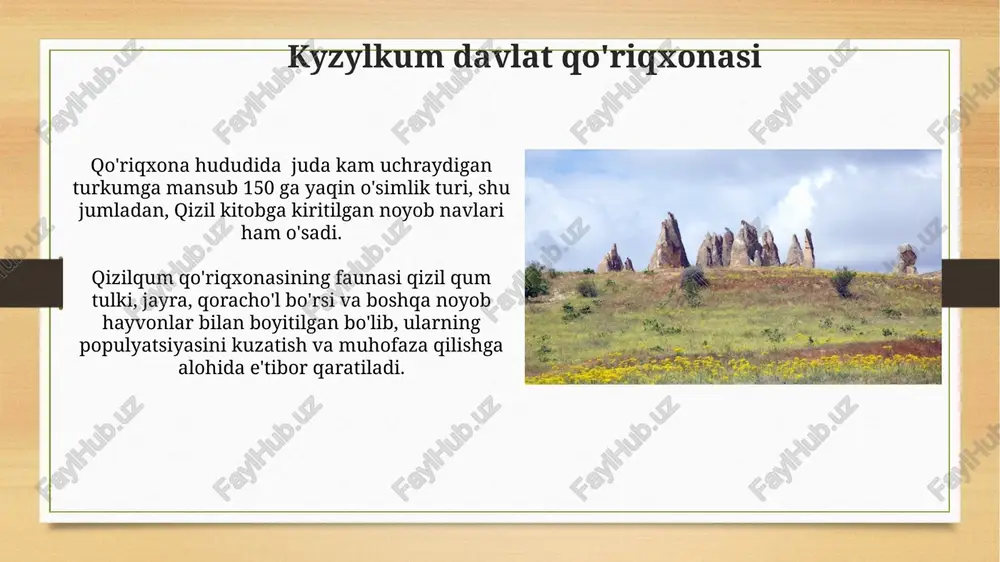 ilgan, bu hududning ekotizim himoyasiga muhtojligini ko'rsatadi. nurato togʻlari togʻlarning balandligi 2165 metrga yetadi va bu yerda paleontologik ahamiyatga ega boʻlgan, yosh taxminan 65 million yilni tashkil etadigan turli xil qazilma qoldiqlar topilgan. nurato togʻlari hududida 200 dan ortiq oʻsimlik turi, jumladan, 20 dan ziyodi endemik turlar mavjud boʻlib, bu mintaqaning noyob bioxilma-xilligini aks ettiradi. qizilqum choʻli cho'lda 100 dan ortiq turdagi qushlar, shuningdek, gekkolar, kaltakesaklar va ilonlar kabi turli xil sudralib yuruvchilar yashaydi, ularning ko'pchiligi xalqaro qizil kitobga kiritilgan noyob turlar hisoblanadi. qizilqumning umumiy maydoni 300 000 kvadrat kilometrdan ortiq bo'lib, markaziy osiyodagi eng yirik cho'llardan biri hisoblanadi va uning geografik joylashuvi tufayli noyob flora va faunasi mavjud. ustyurt platosi ustyurt platosi yuzasi taxminan 200 000 kvadrat kilometrni egallaydi, bu o'zbekiston hududining 1/6 qismidan ko'proqdir va turli xil geologik davrlarga oid qatlamli tuzilmalarga ega. plato yuzasida minglab yillar davomida shamol va suv eroziyasi natijasida hosil bo'lgan noyob geologik shakllar, …