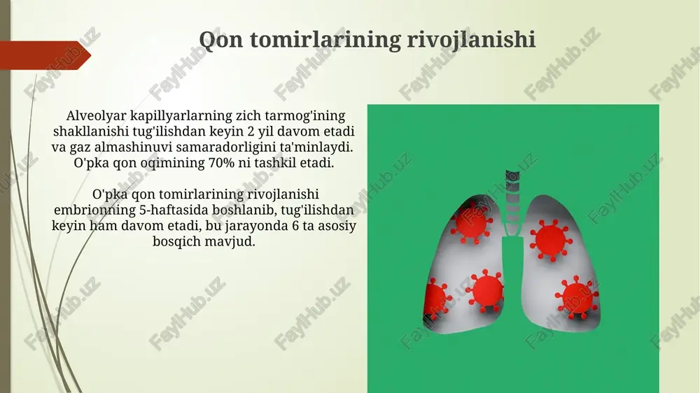 i 3 ta asosiy toifani o'z ichiga oladi. diffuz interstisial o'pka kasalliklari (diop), fibroz va sarkoidoz kabi 5 ta asosiy patogenetik guruhga bo'linadi, har bir guruh o'ziga xos klinik ko'rinishga ega. bronxlarning rivojlanishi bronxlar devorining qalinligi yoshga bogʻliq ravishda oʻzgarib turadi, bolalarda nisbatan qalinroq, kattalarda esa ingichka boʻladi, bu nafas olish funksiyasining oʻzgarishiga olib keladi. bronxlarning tarmoqlanishi (bronx daraxtining shakllanishi) asosan genetik dasturlash bilan boshqariladi, lekin tugʻilishdan keyingi muhit omillari ham ta’sir koʻrsatadi, masalan, infektsiyalar. o'pka ageniziyasi o'pka agenizyasi, tug'ilishdan oldin o'pkaning rivojlanmasligi natijasida yuzaga keladigan noyob tug'ma nuqson bo'lib, taxminan 10 000 tug'ilishda 1 holatni tashkil etadi va ko'pincha boshqa tug'ma anomaliyalar bilan birga keladi. o'pka ageniziyasi davolash usullari kasallikning og'irligiga bog'liq bo'lib, og'ir hollarda o'pka transplantatsiyasi zarur bo'lishi mumkin, biroq yengilroq hollarda simptomatik davolash va nafas olish funksiyasini yaxshilashga qaratilgan terapiya qo'llaniladi. o'pka gipoplaziyasi oʻpka gipoplaziyasi tugʻma anomaliya boʻlib, oʻpkaning toʻliq rivojlanmaganligi bilan tavsiflanadi va bu holat chaqaloqlarda …