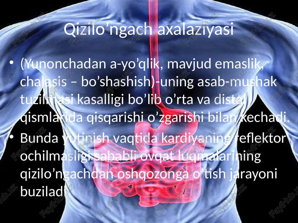 h kengaymagan); 2- qizilo’ngachning pastki jomi bazal tonusining doimiy oshishi,yutinish paytida uning fiziologik bo’shashishining buzulishi va qizilo’ngachni funksional spazmga uchragan joyidan yuqoriroqda o’rtacha kengayishi. 3-qizilo’ngach distal qismining chandiqli o’zgarishlari,uning keskin torayishi (stenozi)va undan yuqoriroqdajoylashgan bo’limlarning birmuncha (kamida ikki barobar) kengayishi: 4-qizilo’ngachning yaqqol ifodalangan chandiqli torayishi,dilatatsiyasi va uzayishi,s- shaklida deformatsiyalanishi,ezofagit hamda paraezofagit kabi asoratlarning rivojlanashi. aksariyat bemorlar regurgitatsiyadan keyin yuzaga keluvchi kechki yo’tal yoki bo’g’lishidan uyg’onib ketishadi. qayt qilingan suyuqlik oq ko’piksimon ko’rinishiga ega (balki bu uyqu vaqti da qizilo’ngachda so’lak yig’ilishi bilan bog’liq) va bu “ho’l yostiq sindromi” deb ataladi.ko’krak qafasidagi og’riqlar va zarda qaynashi bir xil darajada uchraydi (qizilo’ngach axalaziyasiga chalingan bemoqlarning deyarli 40%da) og’riqlar ,odatda ,to’sh suyagiining ortida joylashib,bosuvchi yoki siquvchi xususiyatga ega bo’lib ,bo’yin,pastki jag’ yoki tananing orqa qismiga uzatiladi.qizilo’ngach axalaziyasiga chalingan va zarda qaynashi bezovta qilayotgan bemorlarga ,ba’zan adashib oshqozon –qizilo’ngach reflyuksi tashxisi qo’yiladi. ammo keyinigisidan farqli o’laroq axalaziya tufayli paydo bo’lgan zarda qaynashi ovqatdan keyin …