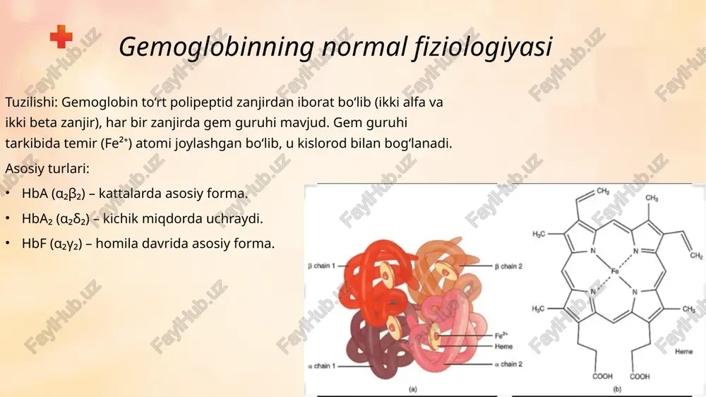 th ed. wiley-blackwell, 2016. foydalanilgan adabiyotlar eʼtiboringiz uchun raxmat !!! @abdinazarovv70 image3.png image4.png image5.jpeg image6.png image11.svg image7.png image8.png image9.png image10.png image11.png image12.png image13.png image14.png image15.png image16.png image17.jpeg image18.png 加载失败 /docprops/thumbnail.jpeg