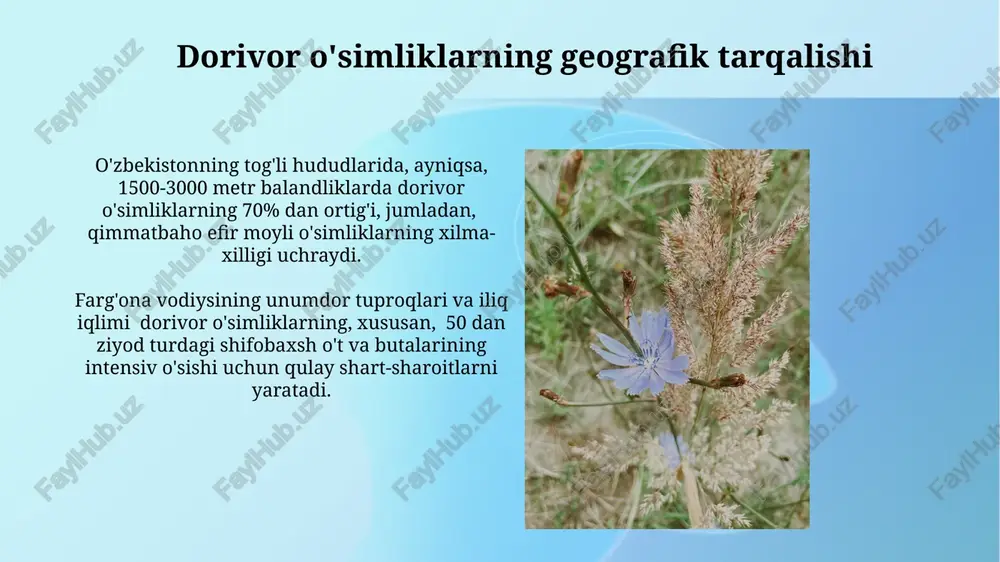 oʻriqxonalar tashkil etilgan boʻlsa-da, ularning samaradorligi monitoring va qoʻshimcha resurslarni talab qiladi. burchoqdoshlar oilasi vakillari ba'zi burchoqdoshlar, masalan, ekineya va zig'ir, yallig'lanishga qarshi va immunomodulyator ta'sirga ega bo'lib, 50 dan ortiq faol moddalarni o'z ichiga oladi. burchoqdoshlar oilasiga mansub 100 dan ortiq o'simlik turi o'zbekiston florasida uchrab, xalq tabobatida keng qo'llaniladi, ularning 20 ga yaqini dorivor xususiyatlarga ega. shuvoqdoshlar oilasi vakillari shuvoqdoshlar oilasi vakillaridan, masalan, dolinchina, qora murch va zira kabi o'simliklar antioksidant xususiyatlariga ega bo'lib, turli kasalliklarni davolashda ishlatiladi. shuvoqdoshlar oilasiga mansub 100 dan ortiq turdagi o'simliklarning 20 ga yaqini o'zbekistonda o'sadi va ularning ko'pchiligi xalq tabobatida qo'llaniladi. xalq tabobati retseptlari “xalq tabobati retseptlari”da 300 dan ortiq oʻsimlikka oid davolovchi retseptlar mavjud boʻlib, ularning 70 foizi nafas yoʻllari kasalliklari, 20 foizi esa ovqat hazm qilish tizimi muammolarini davolashga qaratilgan. retseptlarda koʻpincha 5-7 xil oʻsimlikning aralashmasi qoʻllanilib, dozalar yoshi va kasallikning ogʻirligiga qarab aniqlanadi, bu esa individual yondashuvni taʼkidlaydi. chinnigullar …