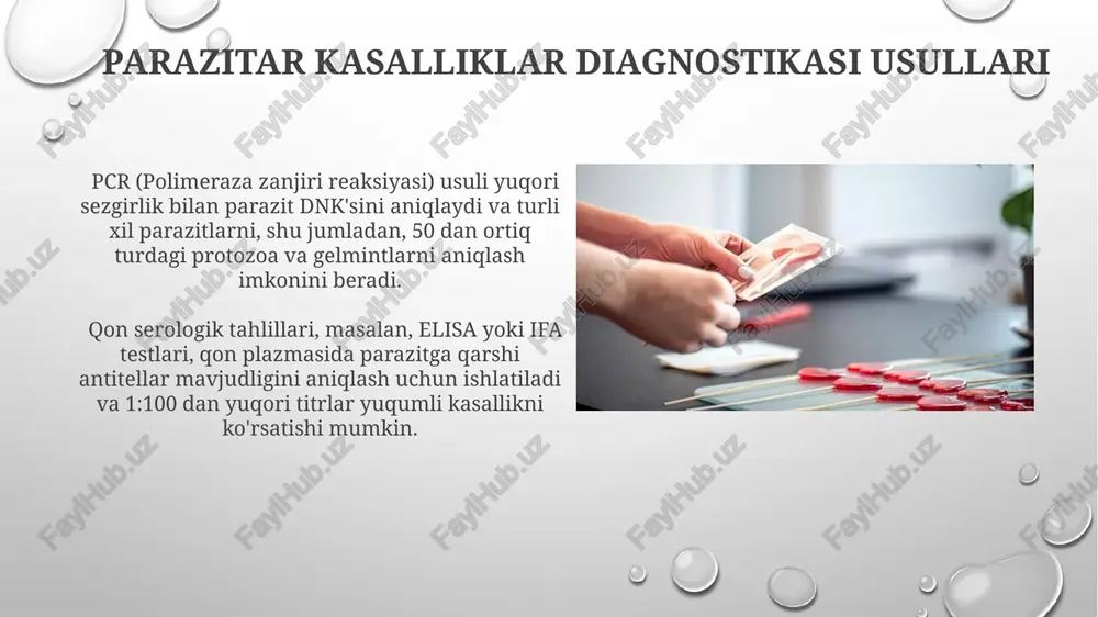 ahlili, jigar fermentlari (alt, ast) va umumiy bilirubin darajasining o'zgarishi orqali, ba'zi parazitli kasalliklarning (masalan, giardia, amoeba) bilvosita ko'rsatkichlarini aniqlay oladi. qonda igg va igm antitellarini aniqlash orqali, parazit infektsiyasining mavjudligini va uning bosqichini (o'tkir yoki surunkali) aniqlash mumkin. bu 95% dan ortiq aniqlikka ega bo'lgan elisa testi yordamida amalga oshiriladi. serologik tekshiruv serologik tekshiruvlar parazit infektsiyasining o'tkir yoki surunkali bosqichlarini aniqlashda 90% dan yuqori aniqlikka ega bo'lishi mumkin, ammo natijalarni talqin qilishda ehtiyotkorlik zarur. igg va igm antijismlarini aniqlash orqali turli xil parazitlarga, masalan, toksoplazmoz yoki leyşmaniyozga qarshi immun javobni baholash mumkin; aniqlik darajasi test turlariga bog'liq. tasvirlash usullari ptr (polimeraz zanjir reaktsiyasi) tekshiruvi dnk/rnk parazitlarini aniqlash uchun yuqori darajadagi aniqlikni ta'minlaydi va 100 dan ortiq turdagi parazitlarni aniqlashga imkon beradi. ko'pgina gelmintozlarni aniqlash uchun tuxumlarni mikroskopiya usuli bilan tekshirish, ya'ni 1 g fekaliyadagi tuxumlar sonini aniqlash muhim diagnostik belgi hisoblanadi. ifa testi ifa testida parazitlarga qarshi antitellarni aniqlash …