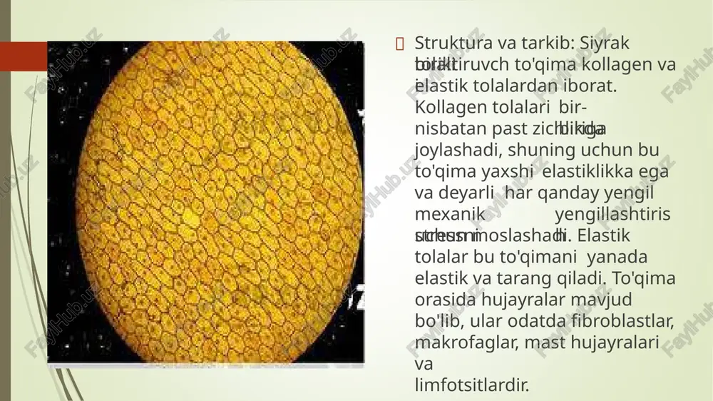 hi turadi. u odatda bo'g'imlar, ligamentlar, tendonlar va boshqa kuchli va bardoshli strukturalarda mavjud bo'lib, harakatda barqarorlik va qo'llab- quvvatlashni ta'minlaydi. e’tiboringiz uchun raxmat ! image1.jpeg image2.jpeg image3.jpeg image4.jpeg image5.jpeg image6.jpeg image7.jpeg image8.jpeg image9.jpeg image10.jpeg